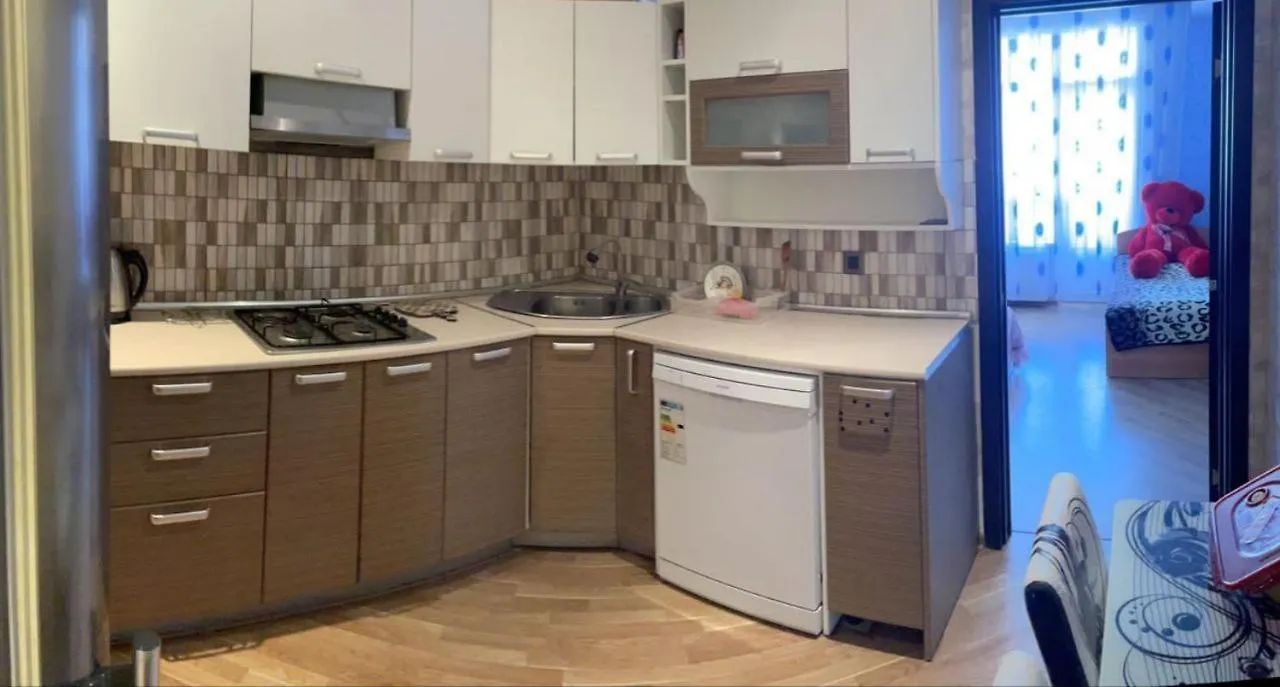 Great Apartment With Sea View Baku